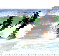 Broadbeach Surf School - Accommodation Bookings
