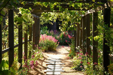 Buda Historic Home & Garden - Accommodation Bookings 2