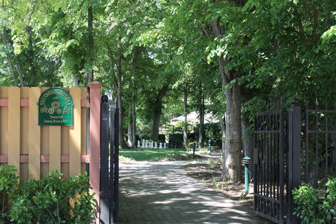 Bungendore Heritage Walk - Accommodation Bookings 0