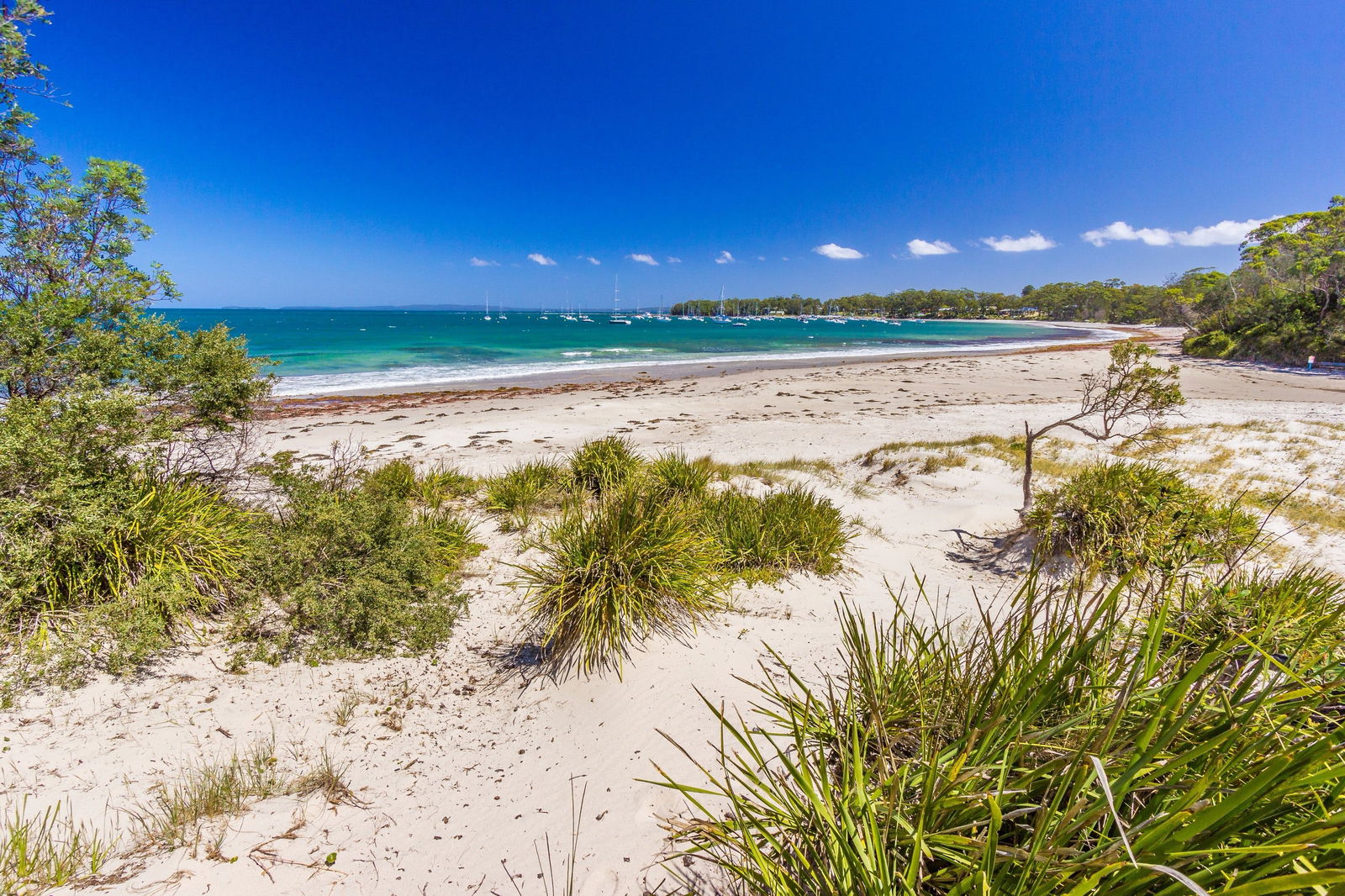 Callala Bay NSW Accommodation Bookings