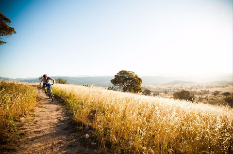 Canberra Centenary Trail - Accommodation Bookings 0
