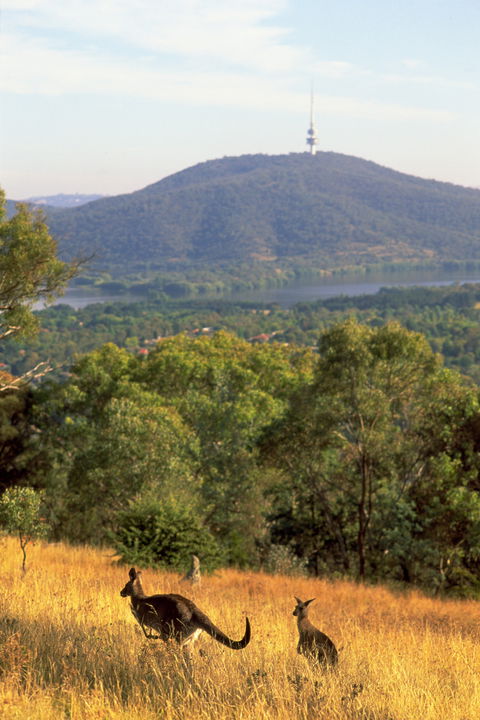 Canberra Centenary Trail - Accommodation Bookings 1