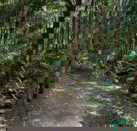 Cascades Walk - Accommodation Bookings