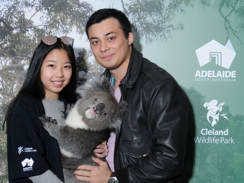 Cleland Wildlife Park - Koala Hold - Accommodation Bookings 0