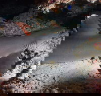Coral Gardens
