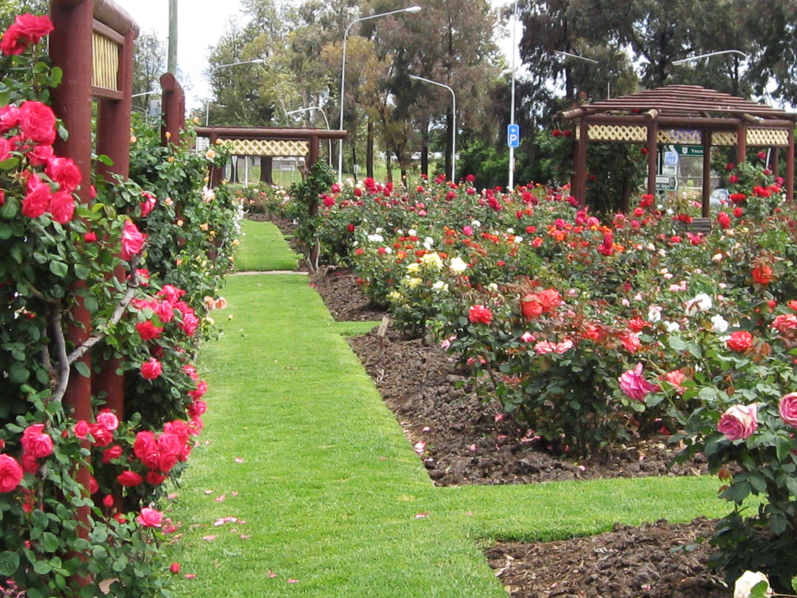 Mount Collins NSW Accommodation Bookings