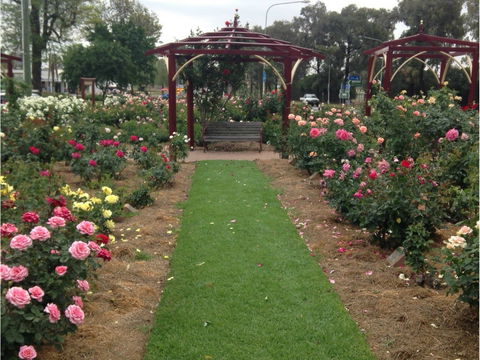 Cowra Rose Garden - Accommodation Bookings 1