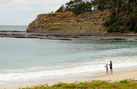 Depot Beach Picnic Area - Accommodation Bookings 0