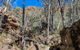 Eualdrie Walking Track - thumb 0