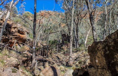 Eualdrie Walking Track - Accommodation Bookings 0