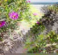 Fort Bribie - Accommodation Bookings