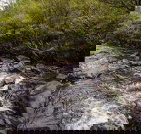 Gloucester River walking track - Accommodation Bookings