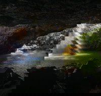 Gondwana Rainforests of Australia World Heritage Area - Accommodation Bookings