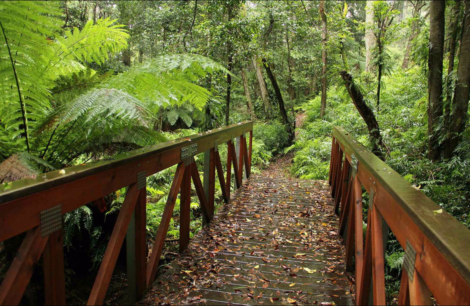 South Wolumla NSW Accommodation Bookings