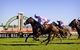 Hawkesbury Race Club - thumb 0