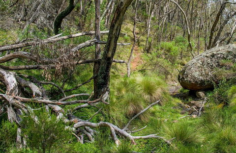 Hopetoun Falls Walking Track - Accommodation Bookings 0