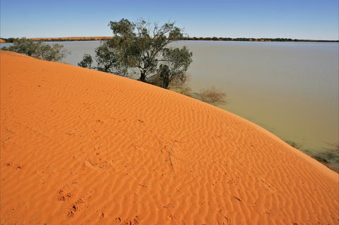 Innamincka Regional Reserve - Accommodation Bookings 1