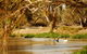 Innamincka Regional Reserve - thumb 2