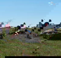 Jim Salmon  Wetland Education Site - Accommodation Bookings