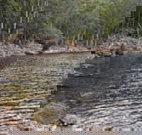 Lake Rowallan - Accommodation Bookings