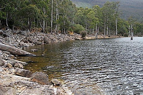 Lake Rowallan - Accommodation Bookings 1