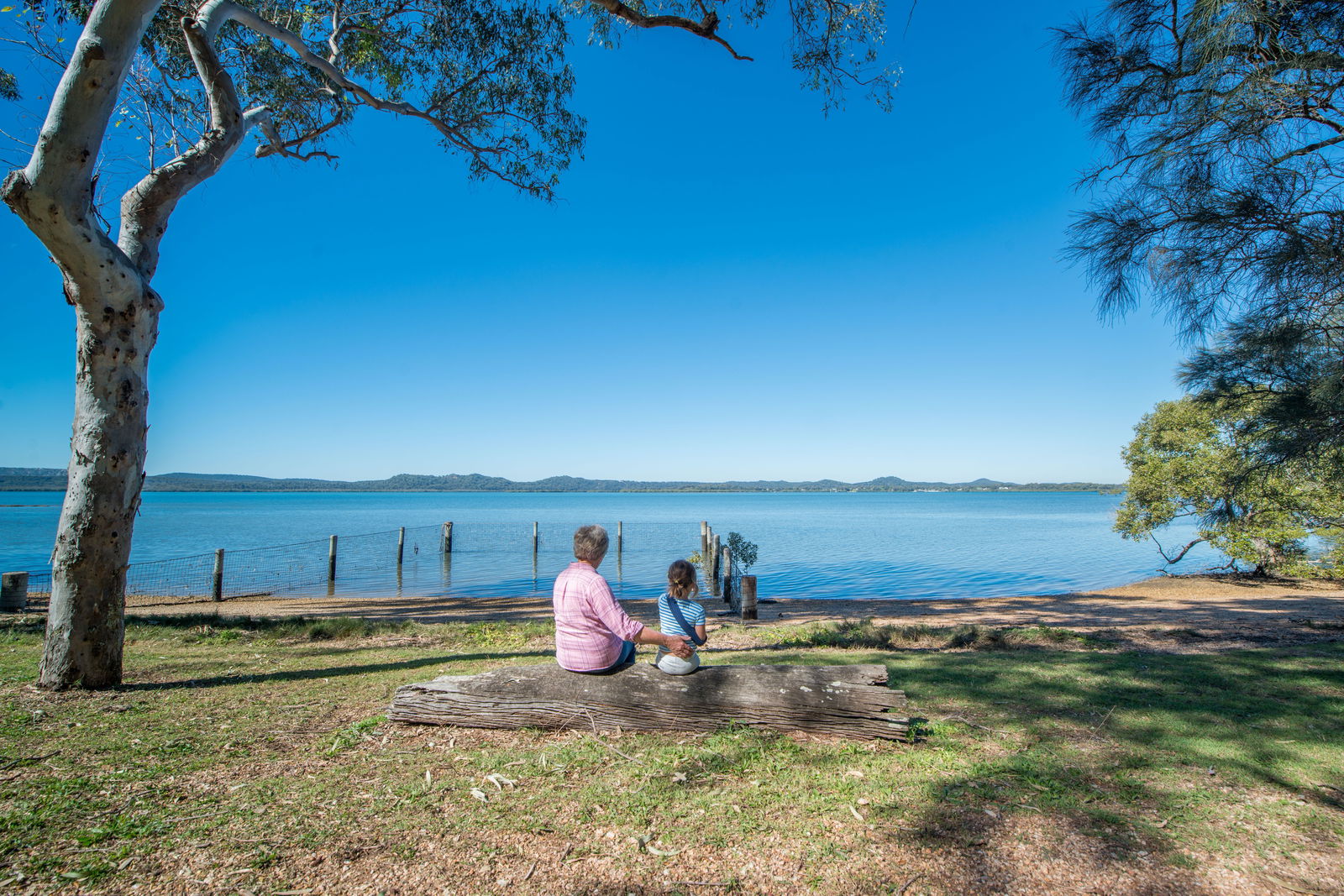 Lamb Island QLD Accommodation Bookings