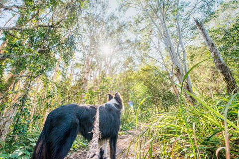 Lamb Island (Nguderoo) - Accommodation Bookings 1