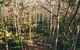 Leeuwin-Naturaliste National Park - Cowaramup - thumb 0