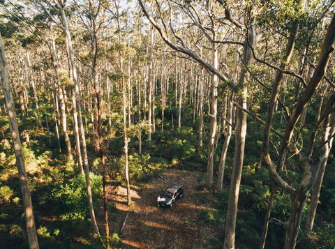Leeuwin-Naturaliste National Park - Cowaramup - Accommodation Bookings 0