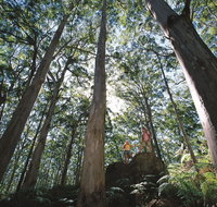 Leeuwin-Naturaliste National Park - Leeuwin - Accommodation Bookings
