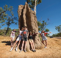 Magnetic Termite Mounds - Accommodation Bookings