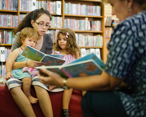 Maitland City Library - Accommodation Bookings 2