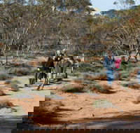 Mallee Stop walking track - Accommodation Bookings