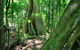 Mary Cairncross Scenic Reserve - thumb 0
