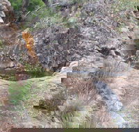 Mill-bullah Walking Track - Accommodation Bookings