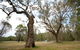 Moolarben Picnic Area - thumb 0