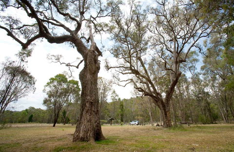 Moolarben Picnic Area - Accommodation Bookings 0
