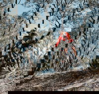 Mountain Bike Trails Deniliquin - Accommodation Bookings