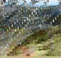 Mount Towac Walk - Accommodation Bookings