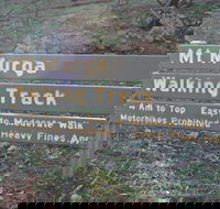 Mount Murga Walking Track - Accommodation Bookings