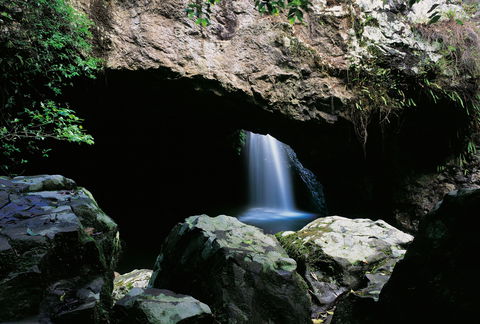 Natural Bridge Circuit, Springbrook National Park - Accommodation Bookings 0