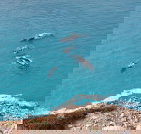 Nullarbor National Park - Accommodation Bookings