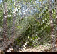 One Mile Creek shared path - Accommodation Bookings
