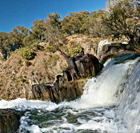 Oxley Walking Track