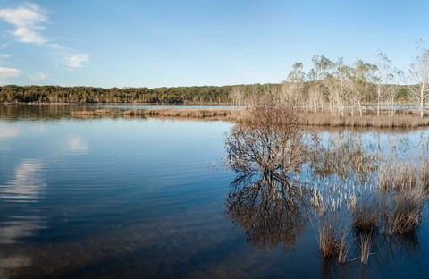 Pattimores Lagoon - Accommodation Bookings 0