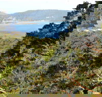 Patonga to Pearl Beach Walking Track - Accommodation Bookings