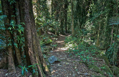 Pholis Gap Walking Track - Accommodation Bookings 0