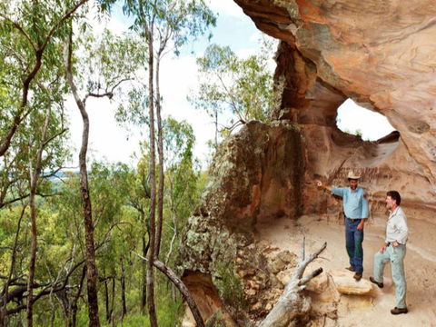 Pilliga Forest - Accommodation Bookings 0
