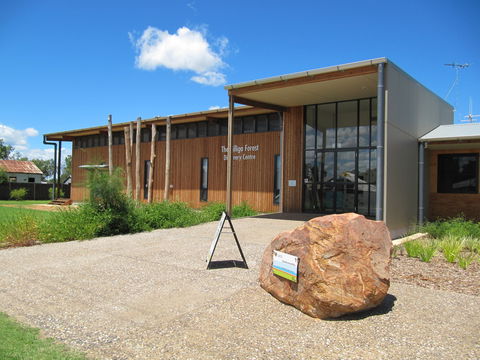 Pilliga Forest - Accommodation Bookings 2