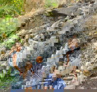 Queens Park Waterfall - Accommodation Bookings